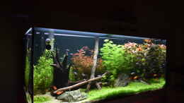 aquarium-von-peter-peter-juwel-rio-180_Juwel Aquarium RIO 180