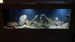 aquarium-von-cichliden-kabuff-dickes-b-an-der-spree-und-der-kleine-tanganjikasee_Eine Woche später erfolgte dann der Korpusbau, um das Becke