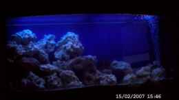 aquarium-von-sabine-krueger-becken-4409_nachtlicht