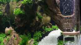 aquarium-von-sandro-aquascape-nanocube30-dragonstone_
