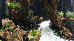 aquarium-von-sandro-aquascape-nanocube30-dragonstone_
