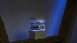 aquarium-von-traum-hobby-de-1-5l-nano---aquarium_