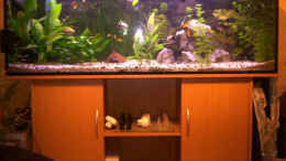aquarium-von-daniela-daum-becken-4457_Juwel Rio 400