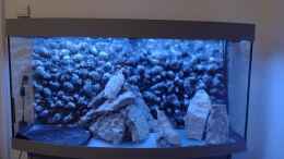aquarium-von-wilhelm94-ostafrika-in-westelbien_Erste Stellprobe der Steine vor dem verkleben