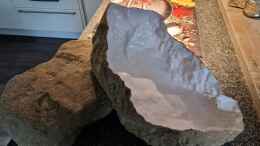 aquarium-von-florian-bandhauer-lake-malawi-3-0---sandzone_Die künstlichen Stein Nachbildungen von Berlin Rock