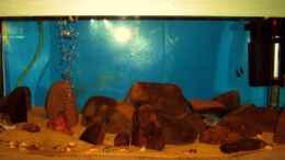 aquarium-von-dennis-klusmann-becken-4522_So sah das Becken und die Abdeckung vorher aus :( 