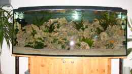 aquarium-von-michael-schmidt-becken-4628_Frontansicht