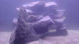 aquarium-von-michael-brunner-becken-4632_Steinaufbaute