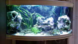 aquarium-von-krebstante4373-becken-4728_Malawiseebecken 275 Liter