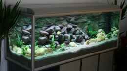 aquarium-von-sergio-raimundo-becken-4790_Stand 25.02.07 noch ohne Fische