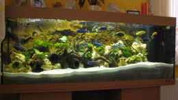 aquarium-von-gabriel-lechner-becken-4795_juwel standart becken mit original unterschrank