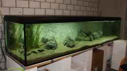Aquarium einrichten mit 1440l-Malawiräuber-Becken