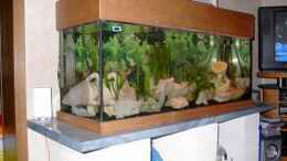 aquarium-von-michael-wentzel-becken-4983_
