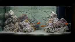 aquarium-von-kai-verholen-becken-5062_300 Liter Aquarium Rio 300 von Juwel