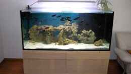 aquarium-von-oliver-schulte-becken-5265_Frontansicht