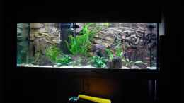 aquarium-von-enrico-pinkert-becken-5280_