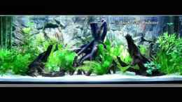 aquarium-von-andreas-boehme-becken-5408_Becken Front