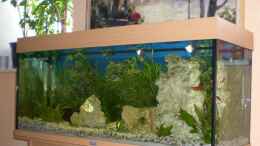 aquarium-von-eo-becken-5476_Das ist ein Juwel Rio 240