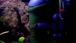 aquarium-von-thomas-schmidt-becken-5584_Eheim Aquaball 2208/ 480 Ltr./ h