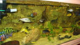 aquarium-von-osman-goekcuel-becken-559_Becken Nach entnahme der Steine zum Fangen der Weibchen
