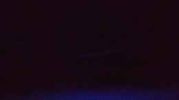 aquarium-von-christof-brixner-becken-5765_Nachtlicht mit 50% Mondphase