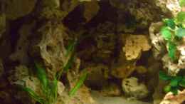 aquarium-von-christof-brixner-becken-5765_Höhle aus Lochgestein