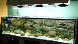 aquarium-von-kay---uwe-focke-becken-5798_