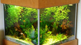 aquarium-von-ulrich-corsten-becken-5860_Becken mit Unterschrank in einer Raumecke mit 5cm Wandabstan