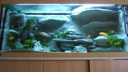 aquarium-von-salzeritis-becken-5960_