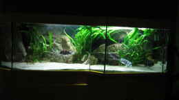 aquarium-von-michaela-krause-becken-6178_Abends...