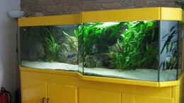 aquarium-von-michaela-krause-becken-6178_Gesamtansicht von rechts