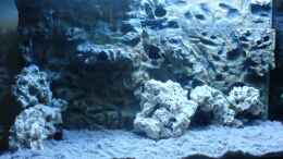 aquarium-von-oliver-raedel-becken-6244_Das noch unbefüllte Becken