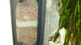 aquarium-von-oliver-raedel-becken-6244_3-Kammerfilter in Seitenansicht