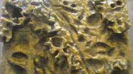 aquarium-von-oliver-raedel-becken-6244_gegen den glanz wurde Sand auf den noch frischen Epoxydharz 