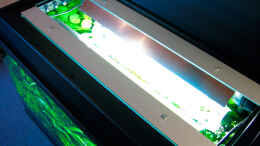 aquarium-von-simon-john-becken-6328_die beiden 15W Leuchtstoffröhren mit der selbst gebastelten