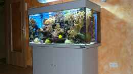 aquarium-von-thomas-maik-becken-6379_