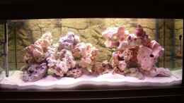 aquarium-von-juergen-langer-becken-6406_Becken beleuchtet