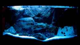 aquarium-von-vladi-becken-6431_Nur mit Marine Glo