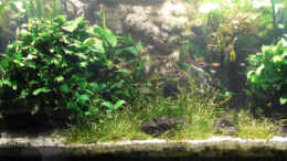 aquarium-von-die-julia-becken-6437_Gesamtansicht am 10.9.2009