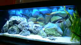 aquarium-von-jasper-rotgans-becken-6488_Juwel Rio400 Malawi