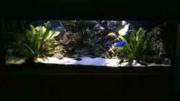 aquarium-von-michael-meyer-becken-679_