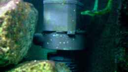 Aquarium einrichten mit HMF mit zwei Pumpenausläufen und Schnellfilter