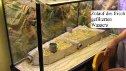 aquarium-von-lars-mielke-becken-6858_Während des Aufbaus ... .
