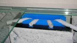 aquarium-von-oliver-hofherr-becken-6888_Integrierter HMF mit Oberflächenabzug