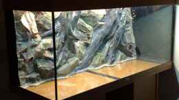 aquarium-von-thomas-oetjen-becken-7120_3D Rückwand mit versteckter Technik
