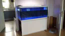 aquarium-von-redieh-rueckkehrer-als-malawi_Testlauf nur Blaue LED