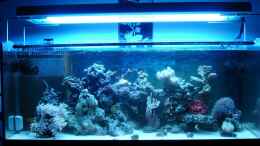 aquarium-von-jane-vogeler-160l-meerwasser-nur-noch-als-beispiel_Gesamtansicht 06.07.2012