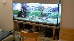 aquarium-von-kurt-kastl-becken-726_Untergestell darunter Technik