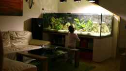 aquarium-von-thomas-szoets-becken-7342_Ansicht Wohnzimmer
