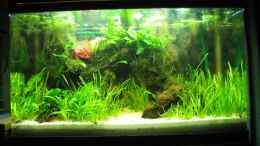 aquarium-von-sebastian-w--becken-7355_12.02.08 - Vallis fangen so langsam endlich an zu wachsen